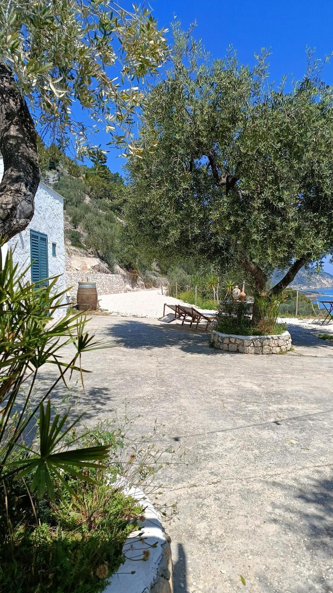 Vila Petra Bianca Charming House Mattinata Exteriér fotografie